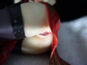 Creator's Collection - T2 Art Girls - Hong Meihua 1/6 anime girl figure naked anime figures - Image 5